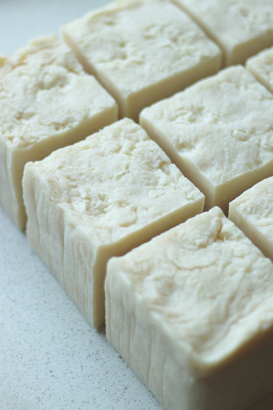 100% Biodegradable Organic Dish Soap Block
