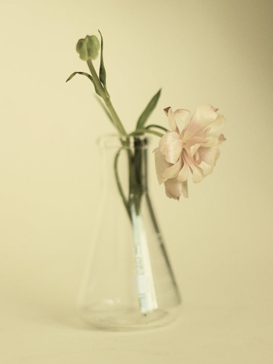 Well-Aging (Anti-Aging) 101: What Skin Actually Needs as It Matures