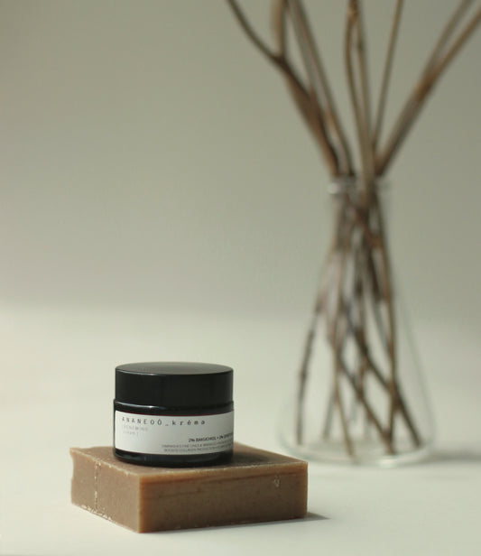 ANANEOÓ _ kréma | RENEWING cream • Anti-aging for mature or lackluster skin