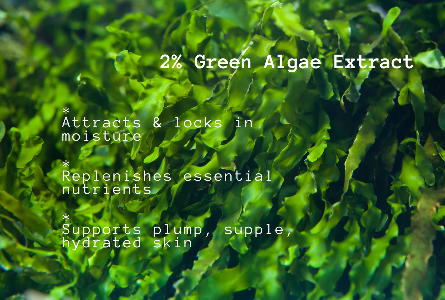 HYDROLOGY | Super Hydrating Well-Aging Serum